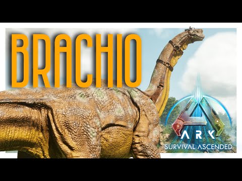 How To Tame The Brachiosaurus! - ARK: Survival Ascended MODDED