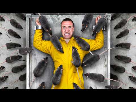 ბრძოლა 10,000 ლარისთვის!!! - ვინ ვერ გაუძლო?