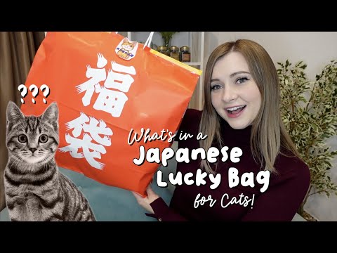 What's Inside a Japanese LUCKY BAG for CATS!