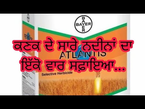 download lagu mp3 mp4 Atlantis Bayer, download lagu Atlantis Bayer gratis, unduh video klip Atlantis Bayer