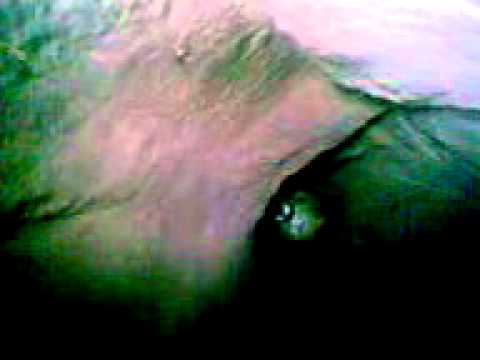 Cover EL TOROGOZ