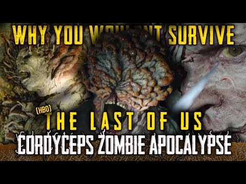 Why You Wouldn't Survive HBO's The Last Of Us Zombie Apocalypse