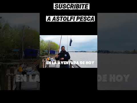ASI ESTA EL PIQUE EN PARANA DE LAS PALMAS #pesca #fishing