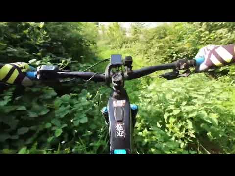 Esercizi al Parco Lago Nord