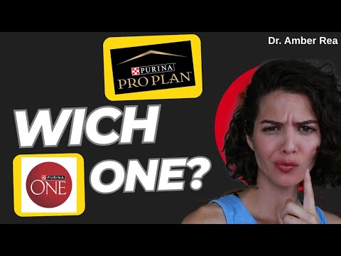 Purina one vs Purina Proplan Review: What is the difference?