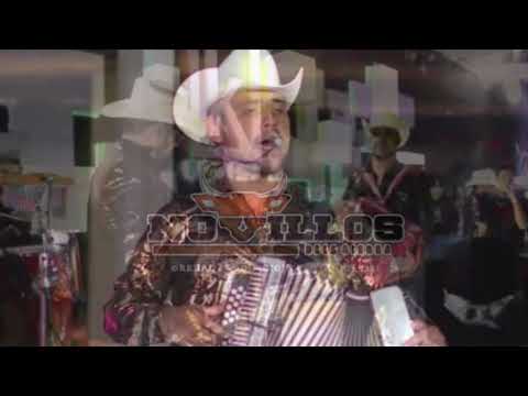 Novillos de la Sierra.Juan Maldonado