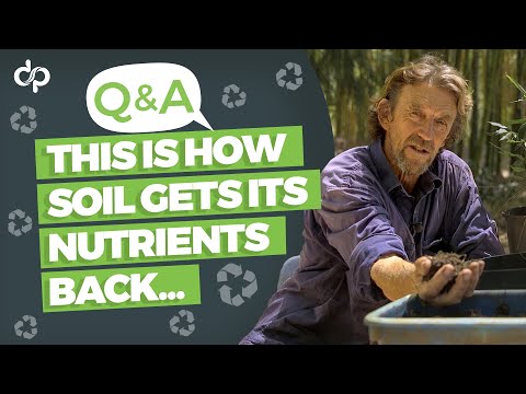 This is How Soil Gets its Nutrients back