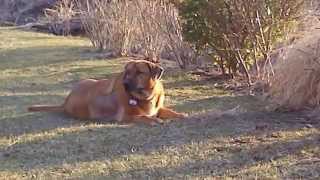 Michael Franks -  Now That The Summer's Here ( Time Together, June 14, 2011 )