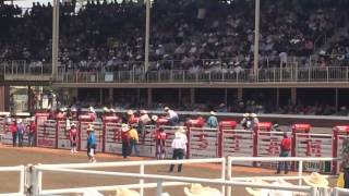 Coleman Hunter Stampede 2015