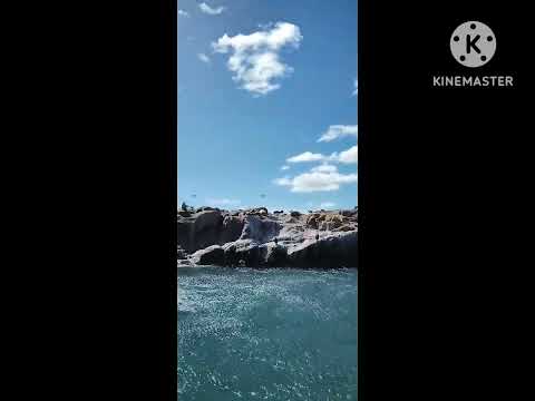 Puerto Deseado. Santa Cruz. Argentina 2024
