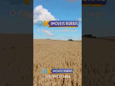 🚜 Arrendamento Rural no RS | Áreas de 200 a 4.500 Hectares 🌾