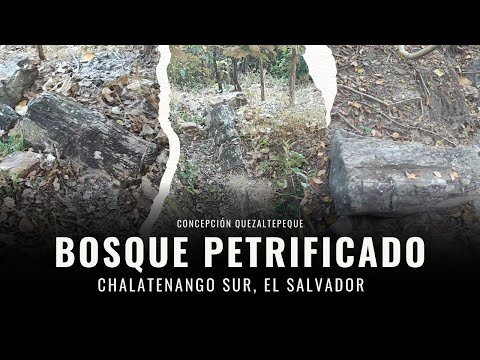 Bosque Petrificado en Chalatenango Sur