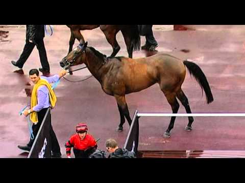 Ascot, 30/01/2016 - Race 6 - RED ORA - Dan Morton & William Pike