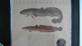 The Farmer&#39;s Boys - Phew Wow! (1985) (Audio)