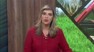 Vice-diretor da FAAP analisa a participação de Michel Temer em reunião do BRICS na China