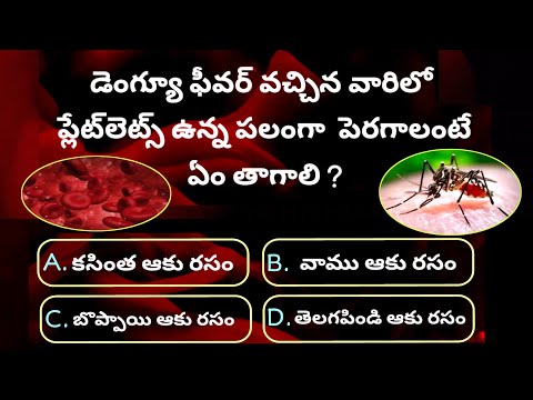 Unique general knowledge Telugu questions with answers #Ep32 | Telugu quiz| Gk quiz| gk bits 
