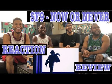 SF9 에스에프나인 - NOW OR NEVER 질렀어 REACTION/REACTION