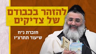 בצור ירום | הלימוד היומי | כ"ד אדר ה'תשפ"ה | להזהר בכבודם של צדיקים | חוברת נ"ח שיעור תתרצ"ו