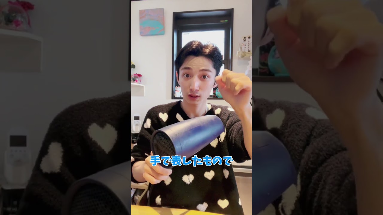 日本手話と日本対応手話の違い