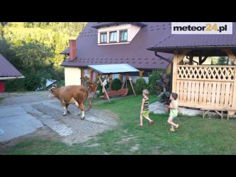 Agroturystyka - Fajne Wczasy U Urbaniaków - Ochotnica Dolna meteor24.pl