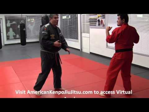 Circles of Protection Technique Brakedown by S.M. Mohamad Tabatabai