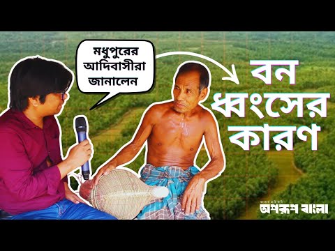 কেমন আছে মধুপুরের আদিবাসীরা : জানালেন বন ধ্বংসের কারণ