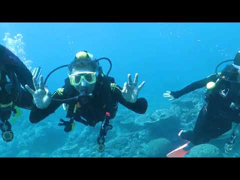 Supriyo #scubadiving #GreatBarierReef #australia