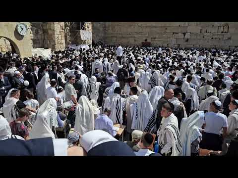Hallel Songs Blessings 🙌 from Kohanim at the kotel Jerusalem