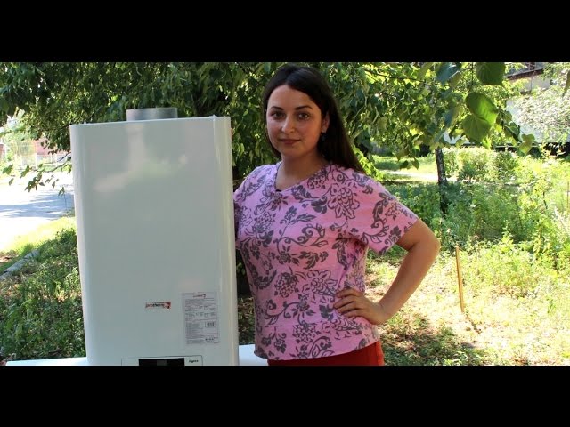 Газовый котел Protherm Рысь Lynx HK 24 купить в Минске, цена ...