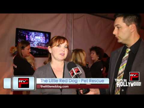 Jane Lynch & Julianne Hough explores Cause For Paws Giving Suite