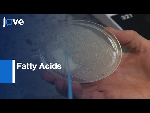 Fatty Acids Identification in B.cereus | Protocol Preview