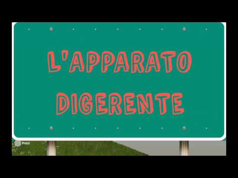 L' apparato digerente