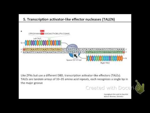 Lecture21 GenomeEditing