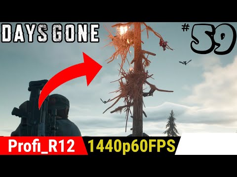 Wykończę was wszystkie! | Days Gone PC (PL) [#59]