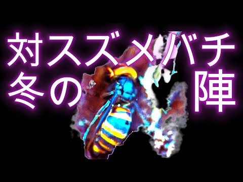 経済学科 晴蜂雨読⑱／対スズメバチ、冬の陣 (12月)／山崎亮一／東京農工大学名誉教授／字幕付き／Winter battle with hornets (December)／Eng sub