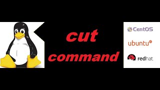 How to use cut command in redhat Linux