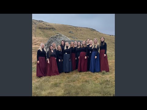 Tað sótu seyðamenn