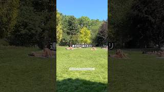 パリ40度超え🇫🇷|クーラーなしの猛暑対策/Paris canicule 40°C : survivre sans clim #shorts #フランス生活 #海外生活