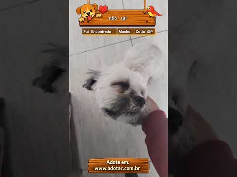 Vídeo de não sei