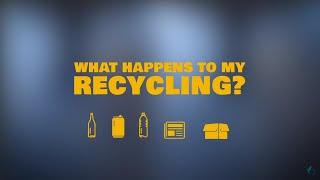 What happens to my recycling?