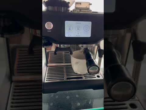 Breville - Their warranty never repaired my damaged product. - Image 2