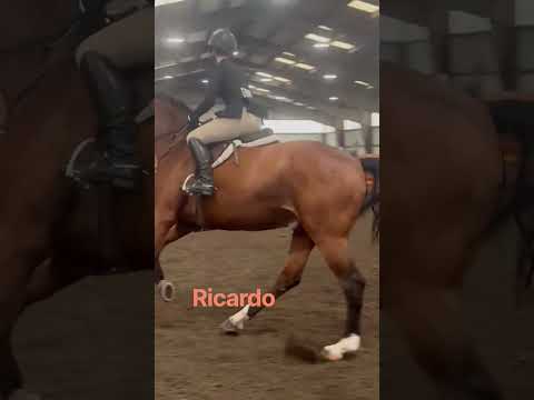 Kt Ricardo video 2