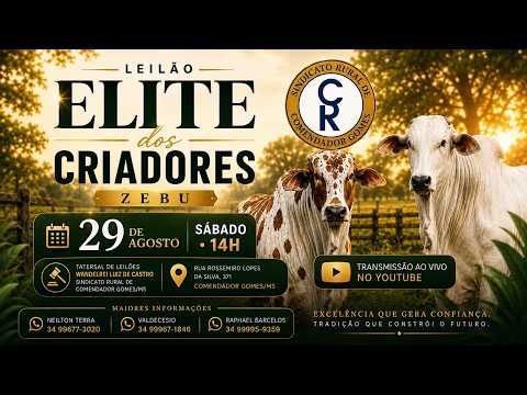 LEILÃO ELITE DOS CRIADORES ZEBU | COMENDADOR GOMES – MG |📅 29 DE AGOSTO DE 2026