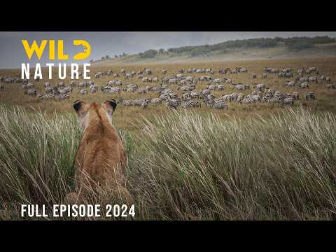 Full Documentary: Exploring the Wild Serengeti