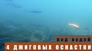 Ловля окуня на техасскую оснастку осенью