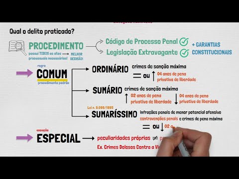 PROCESSO e PROCEDIMENTOS em PROCESSO PENAL | Aula 01 | Disposições Gerais