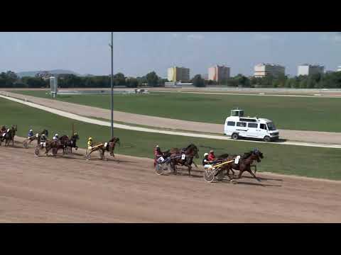 2019.08.10. 02. futam - FRANGIPANI DÍJ