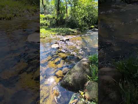 Chegando novidades!! 1 alqueire em Campina Grande do Sul Paraná,breve mais informações