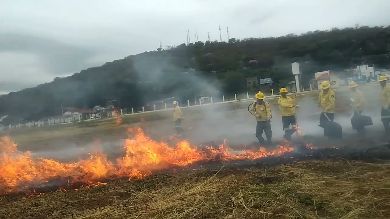 Assim nascem os Brigadistas do Prevfogo Ibama
