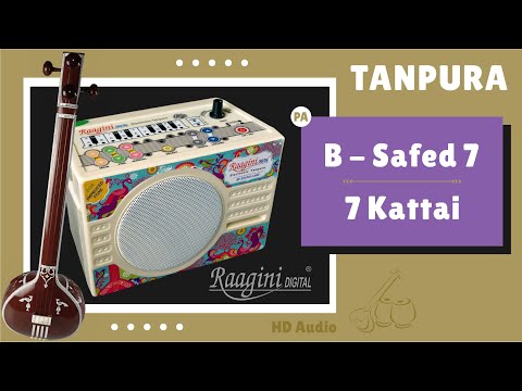 Raagini Tanpura B Scale for Male (PA) | Tambura Shruti 7 Kattai | रागिनी तानपुरा सफ़ेद ७